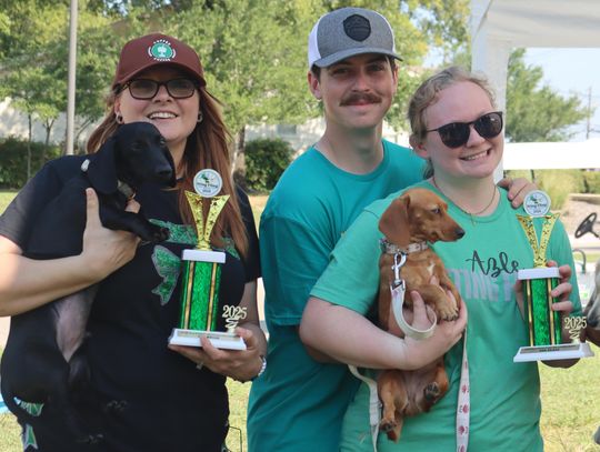 18th annual Sting Fling slated Sept. 12