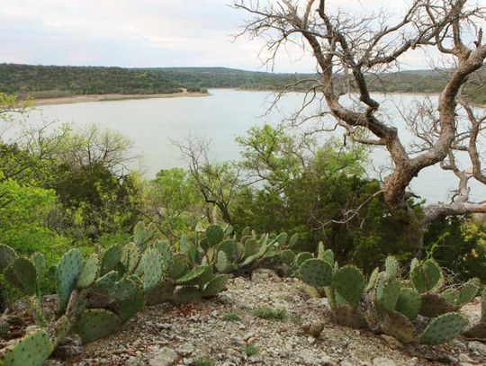 A jewel in our backyard