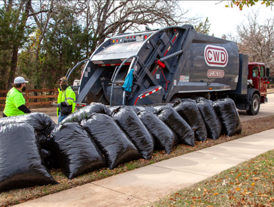 A promise of re-leaf