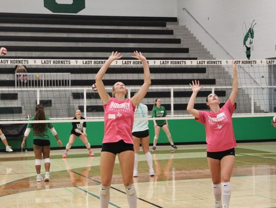AHS volleyball builds on 30-win season