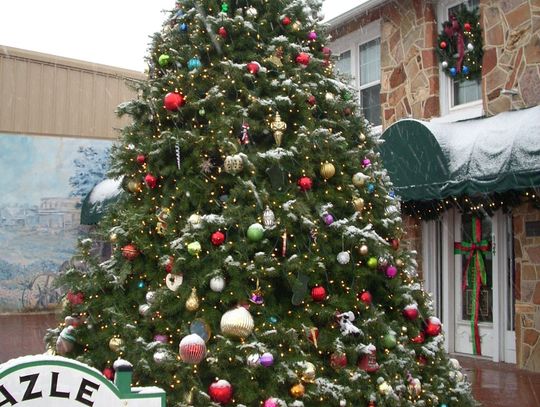 All ‘spruced up’ for Christmas