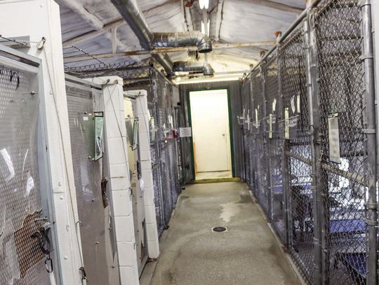 Animal control supervisor addresses need for expansion of shelter