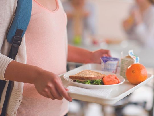 Applications for free, reduced meals available