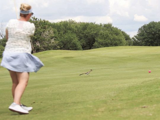 Azle chamber hosts 20th annual golf tournament