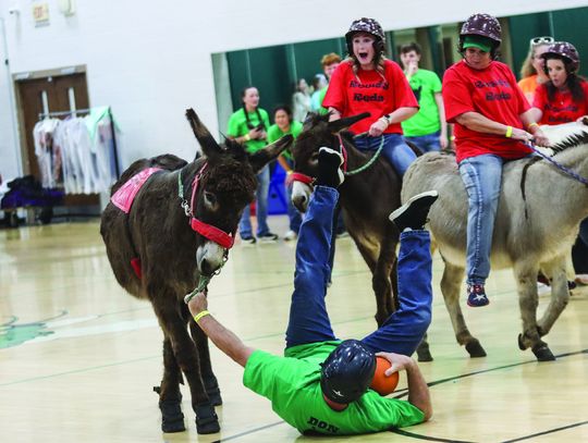 Azle donkey basketball