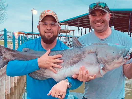 Blue catfish, Eagle Mountain Lake 53.07 lbs and 45”long