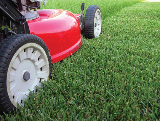 City approves $62K bid for mowing services