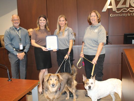 City honors animal shelter, municipal court with proclamations
