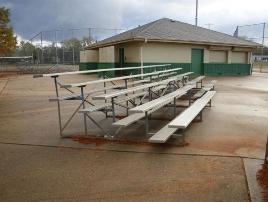 Council weighs shade options for picnic tables, bleachers at Shady Grove Park
