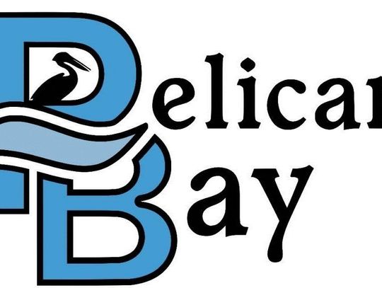 Early voting begins April 20 in Pelican Bay council race