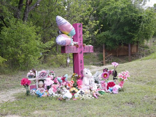 Horner pleads guilty to Athena Strand's murder