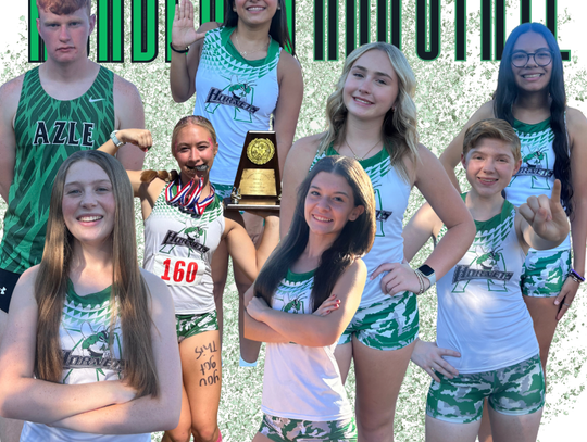Hornet runners earn Academic All-State honors