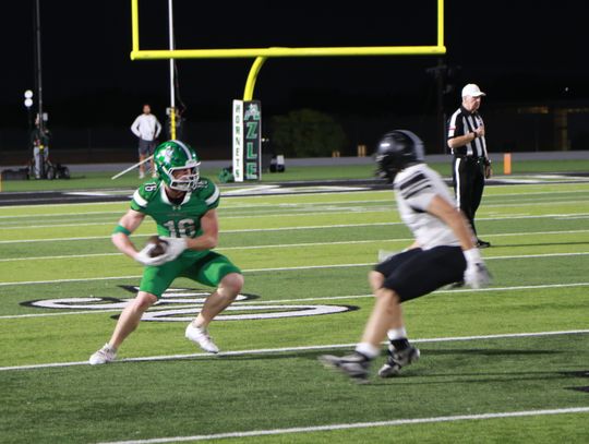 Hornets clinch playoff berth with homecoming win
