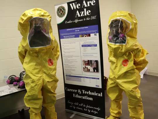 Hornets: Set to show off