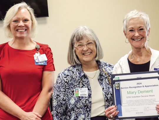 Hospital auxiliaries present honors, recognitions