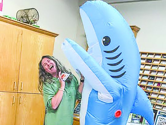Jaw-some, fin-tastic!