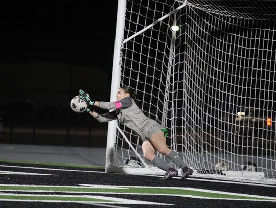 Lady Hornets battle Granbury, blank Brewer