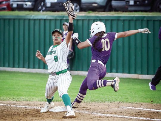 Lady Hornets beat Granbury at home