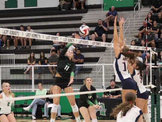 Lady Hornets finish opening week 5-4