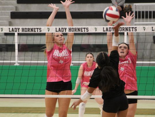 Lady Hornets hit the court running