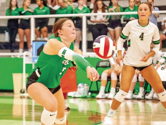 Lady Hornets split week of matches