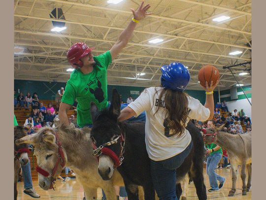 Slam dunks on stubborn mules