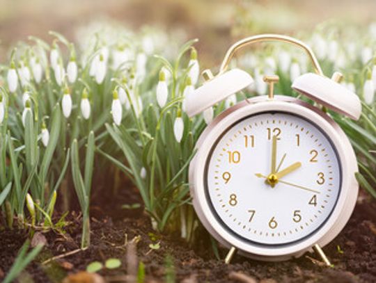 Spring forward!