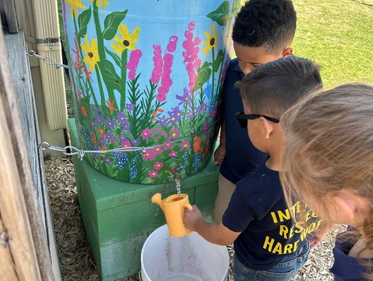 TRWD offers water-saving initiatives for homeowners