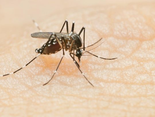 West Nile Virus detected in Ash Creek Park