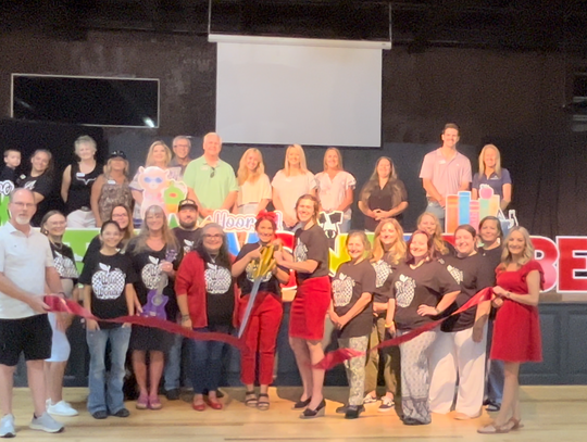 Wild Wonder Collective