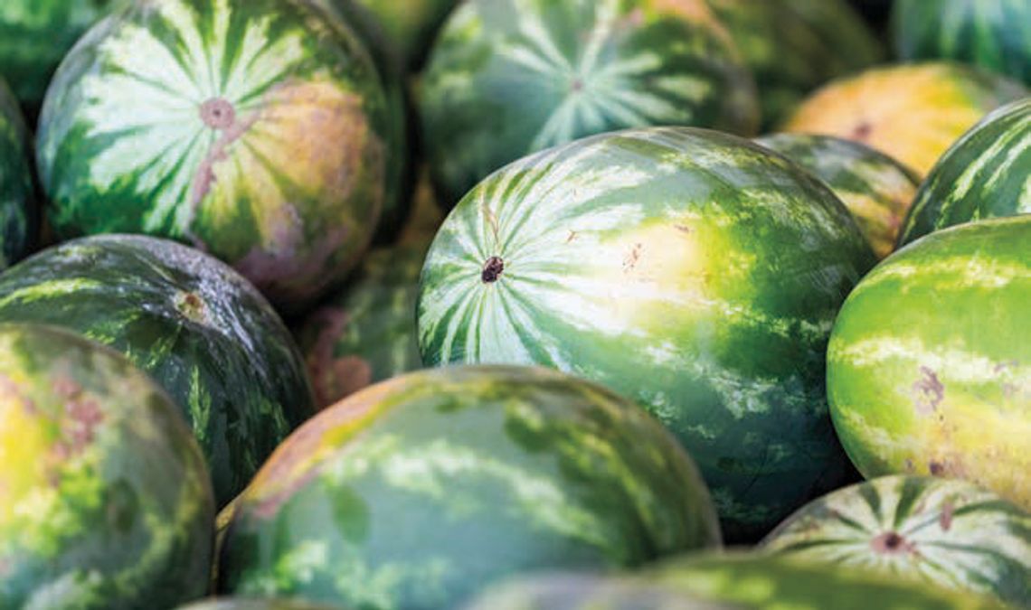 3 tips to pick out a sweet watermelon