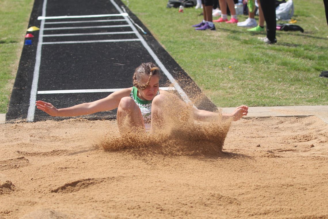 AHS sends strong group to area meet