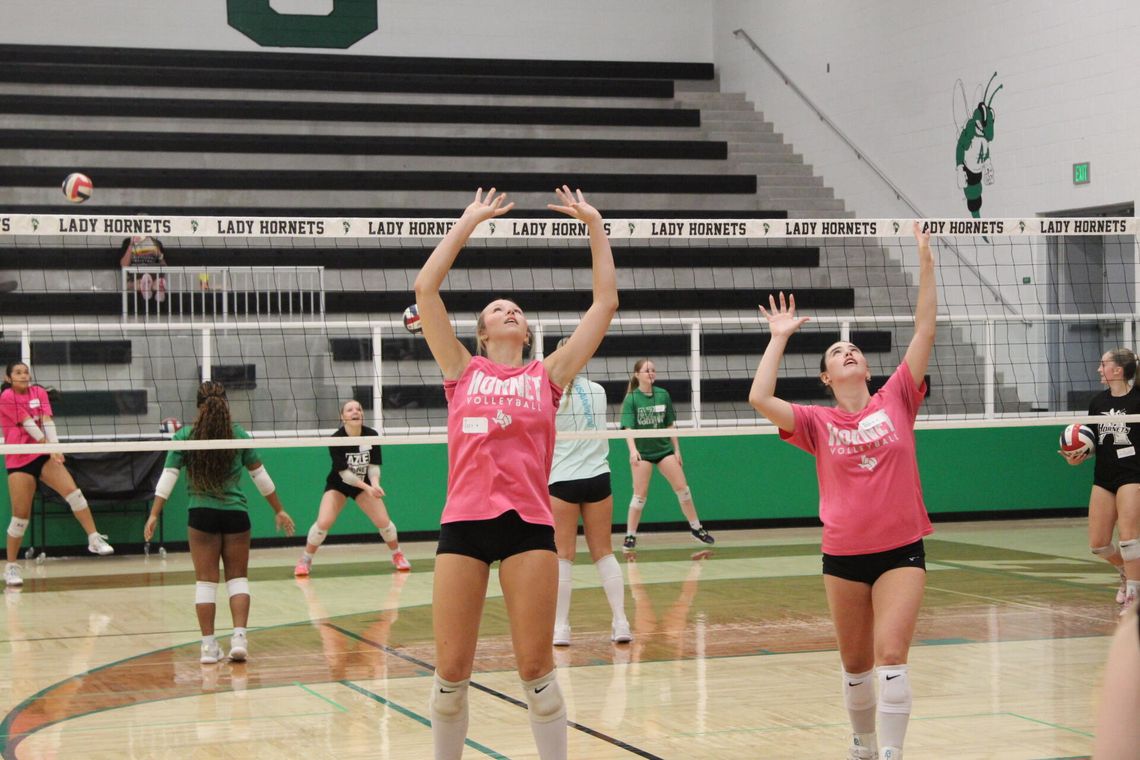 AHS volleyball builds on 30-win season