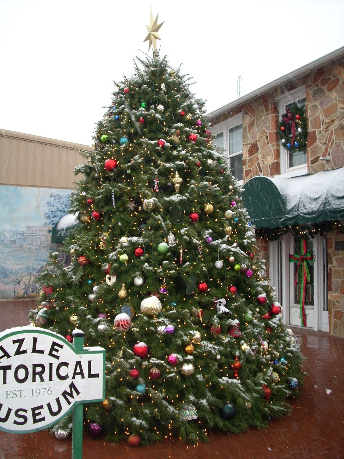 All ‘spruced up’ for Christmas