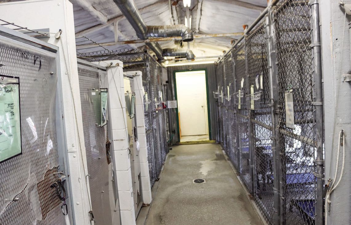 Animal control supervisor addresses need for expansion of shelter