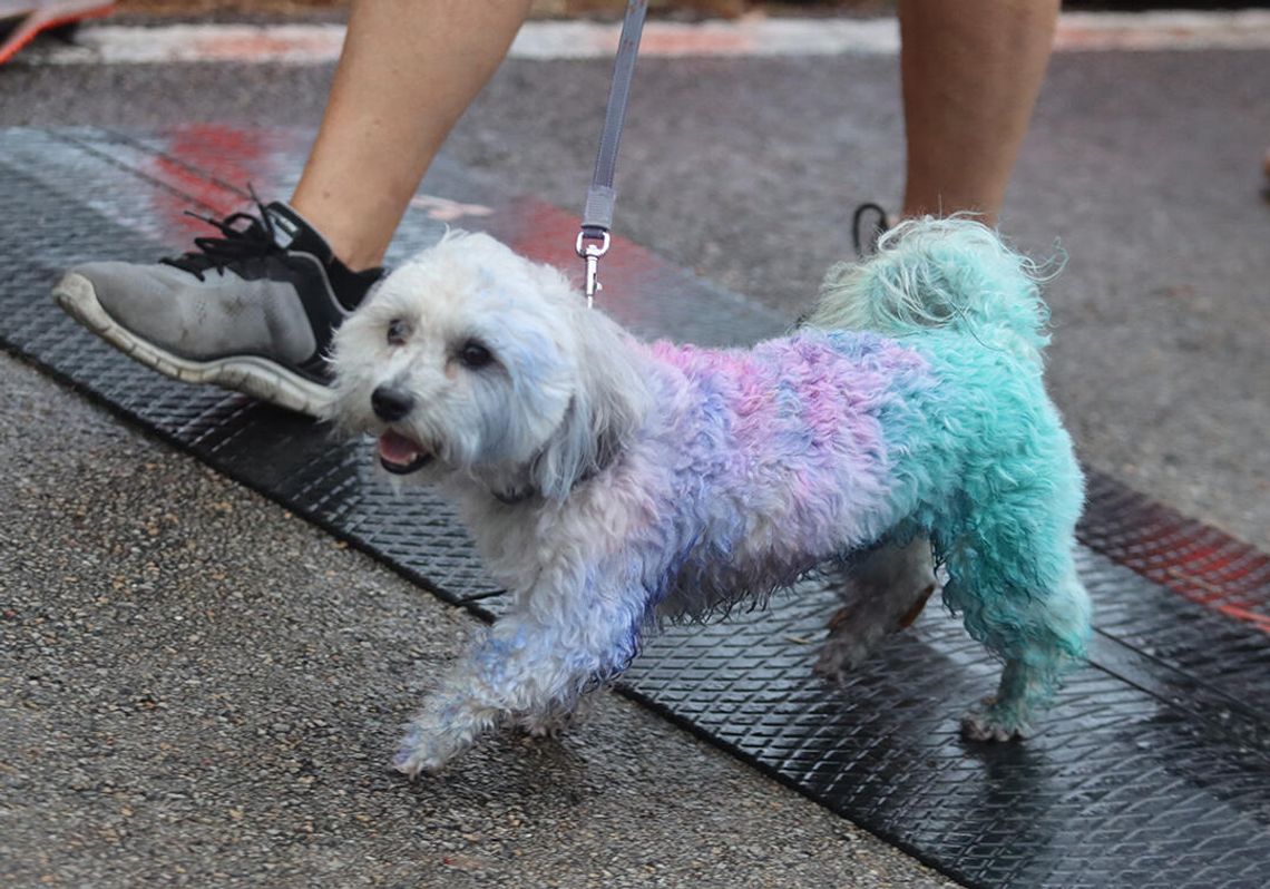 Azle Lake Run an ‘awakening’ for residents new and old