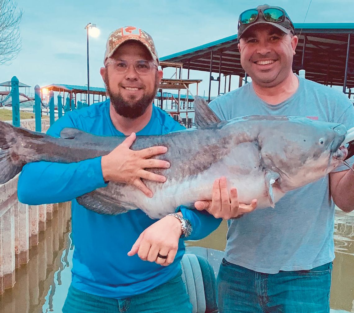Blue catfish, Eagle Mountain Lake 53.07 lbs and 45”long