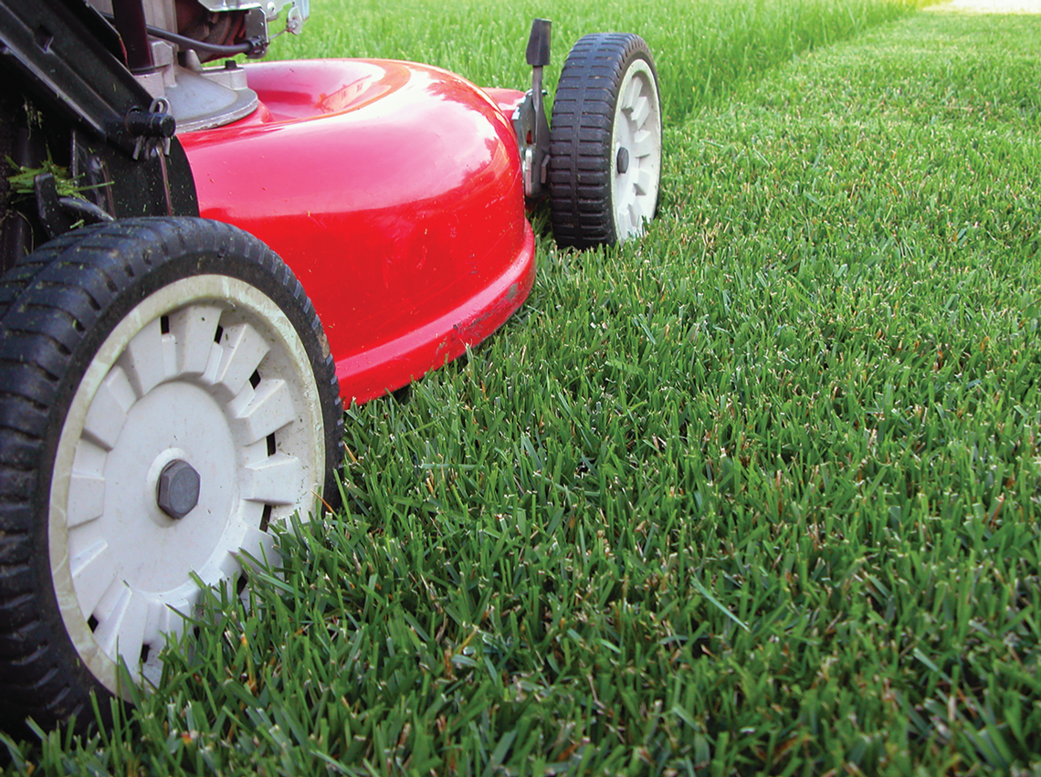 City approves $62K bid for mowing services