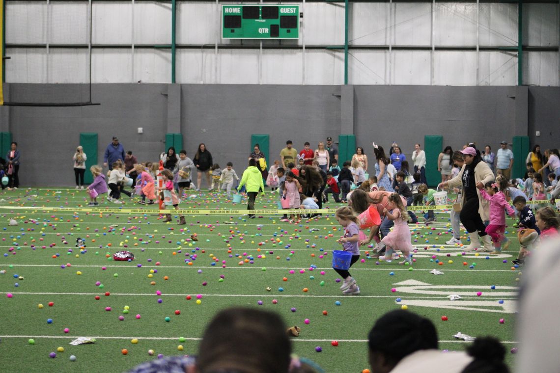 Here we go egg-ain Here we go egg-ain