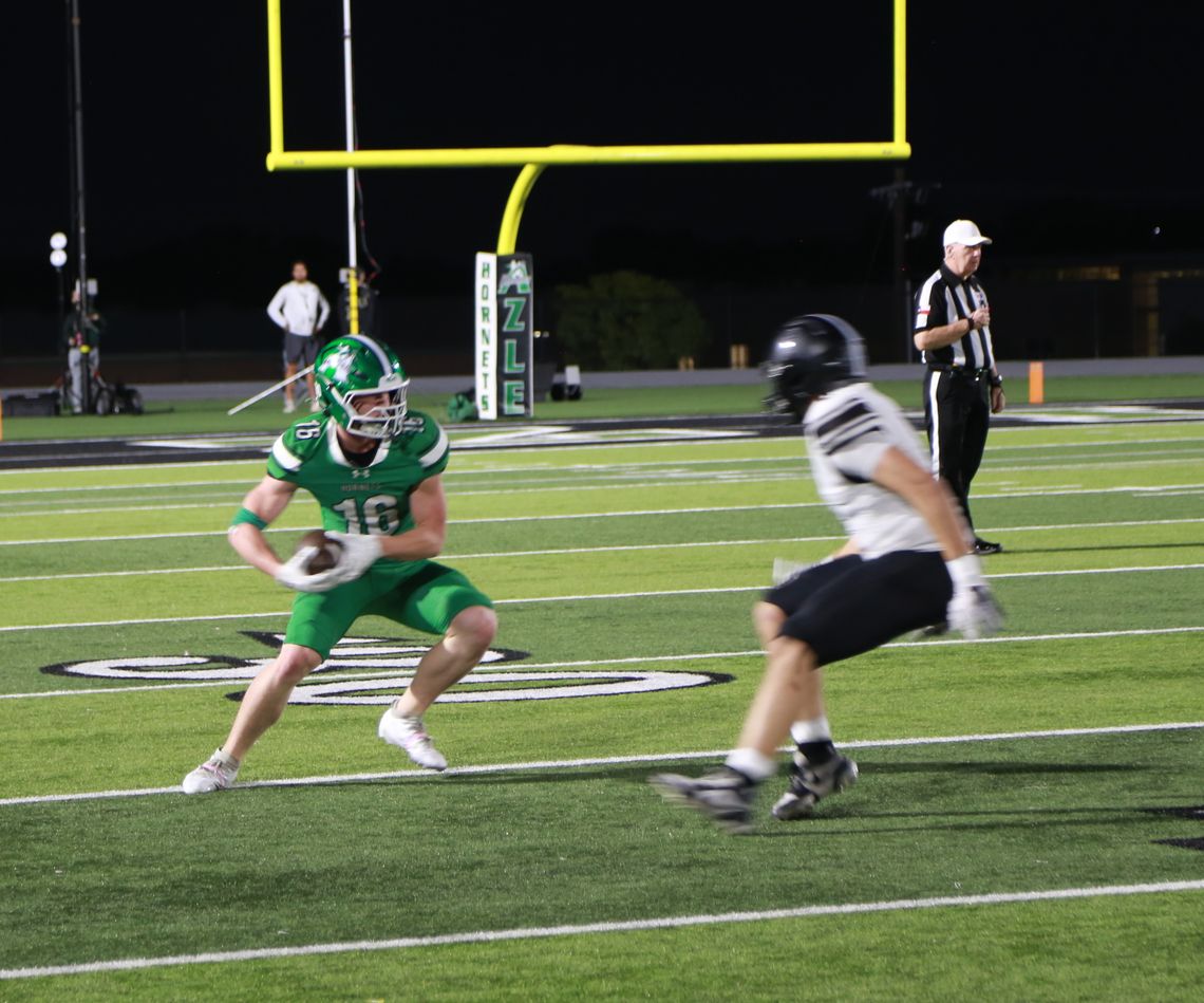 Hornets clinch playoff berth with homecoming win Hornets clinch playoff berth with homecoming win