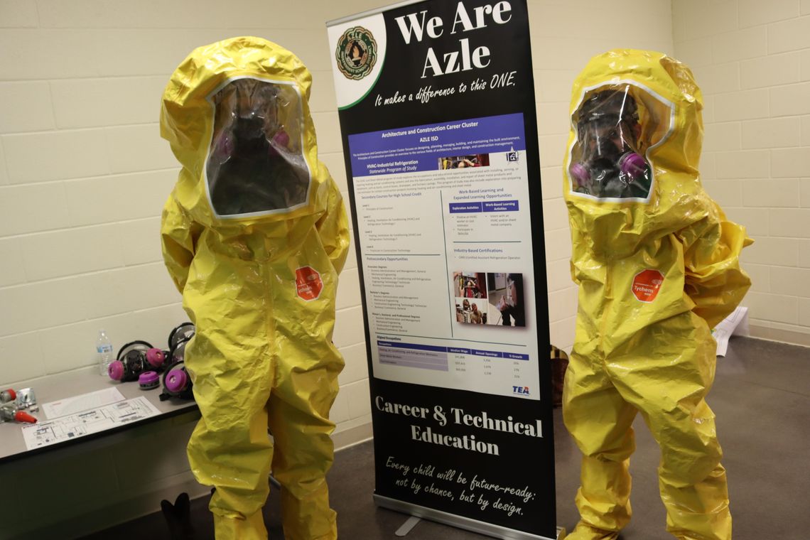 Hornets: Set to show off