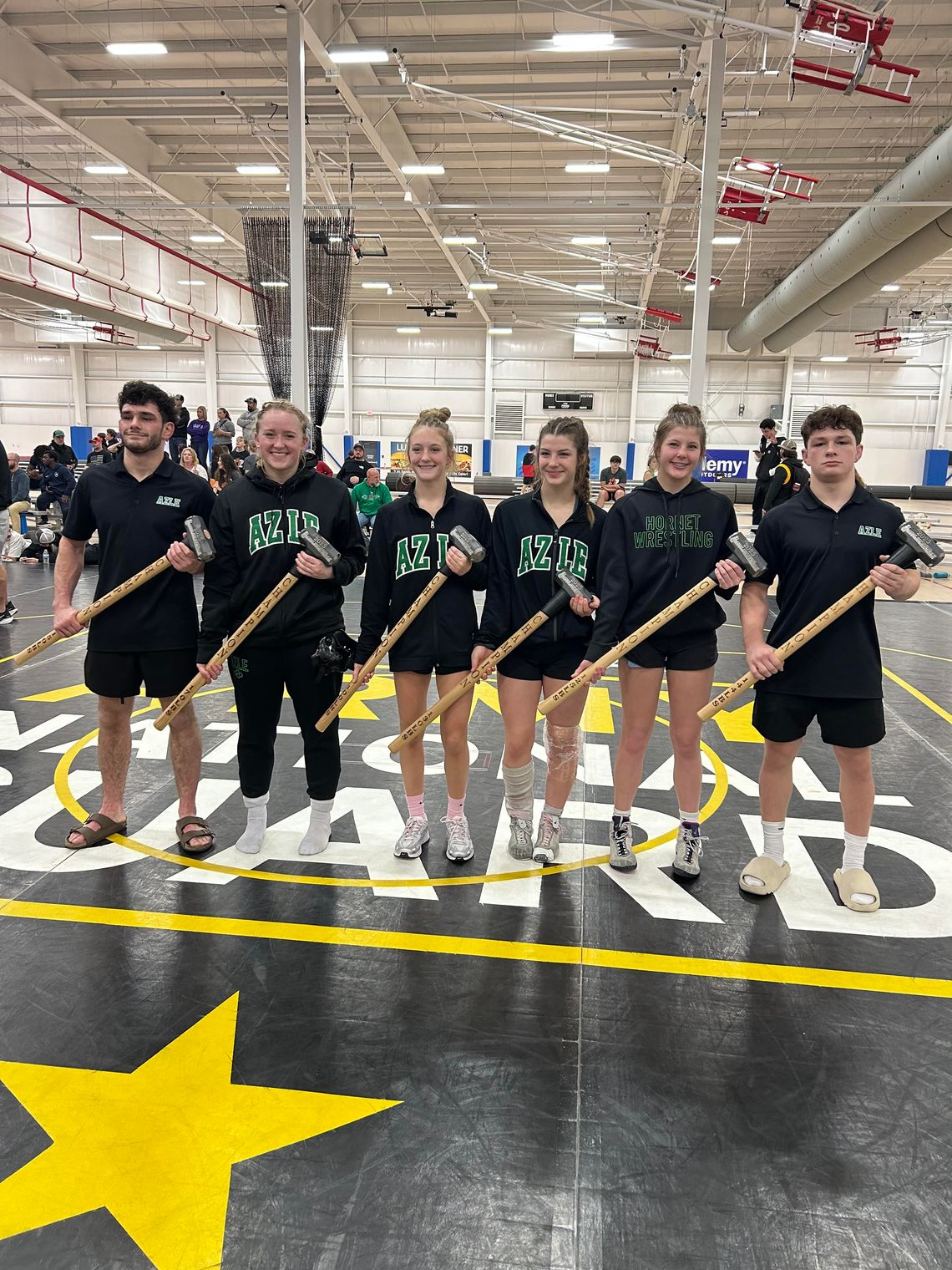 Lady Hornets capture Bring the Hammer title