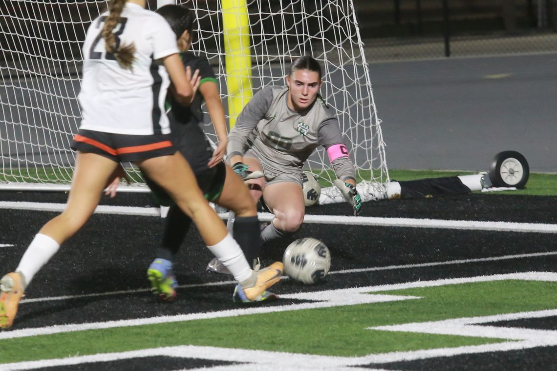 Lady Hornets earn strong showing on All-District soccer team