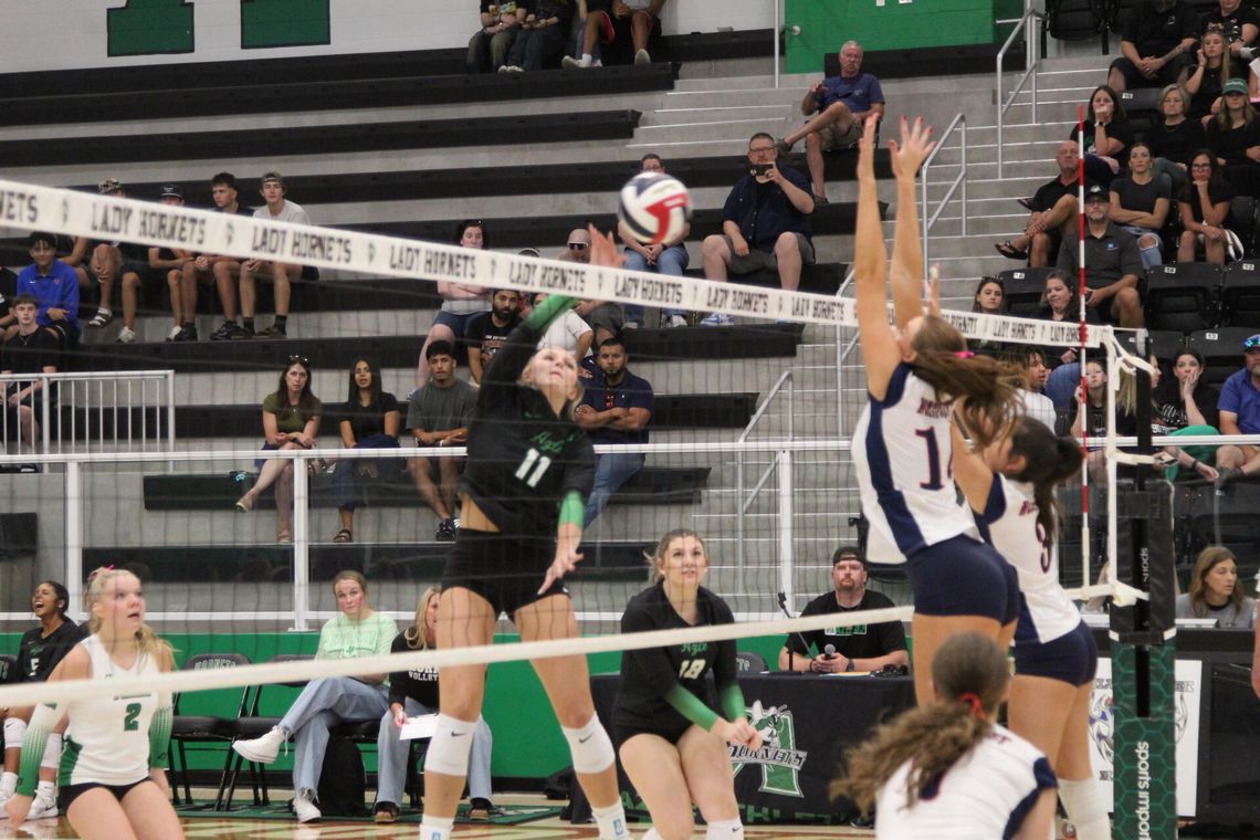Lady Hornets finish opening week 5-4 Lady Hornets finish opening week 5-4