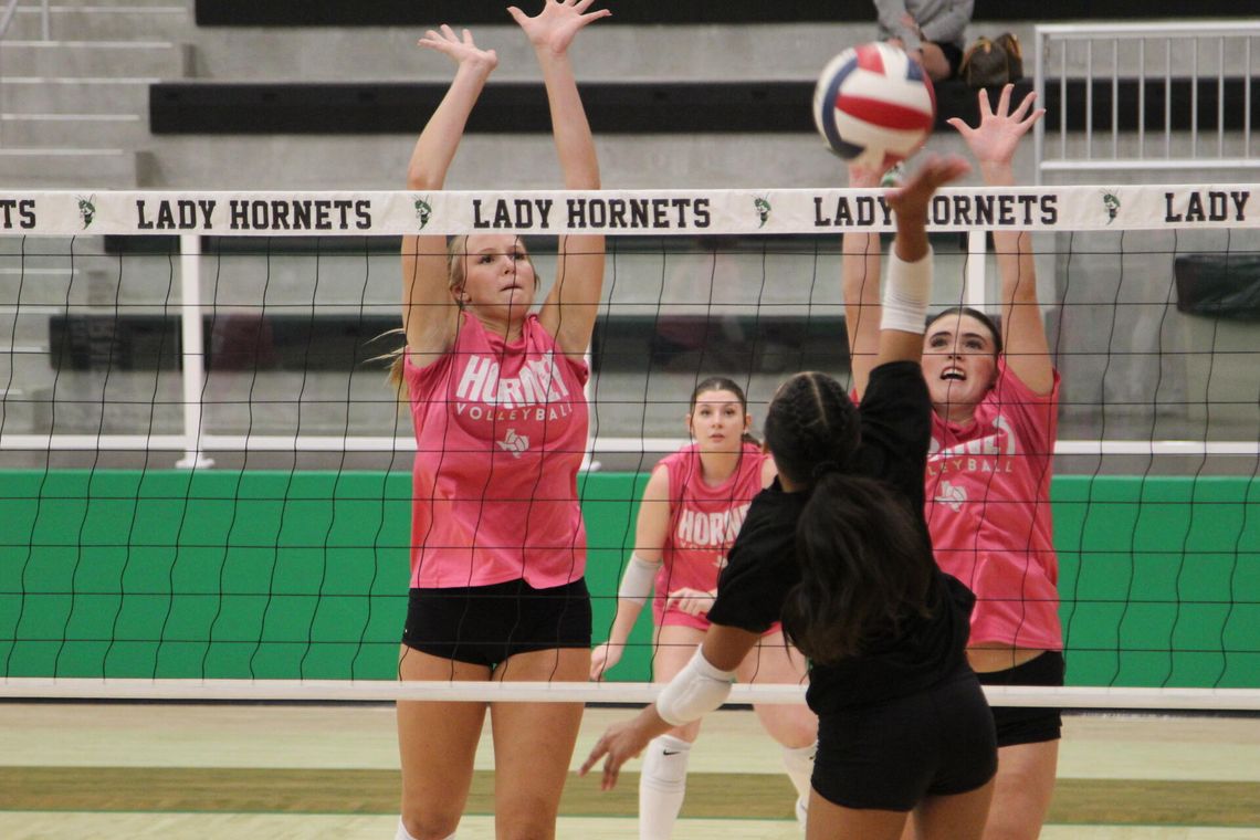 Lady Hornets hit the court running