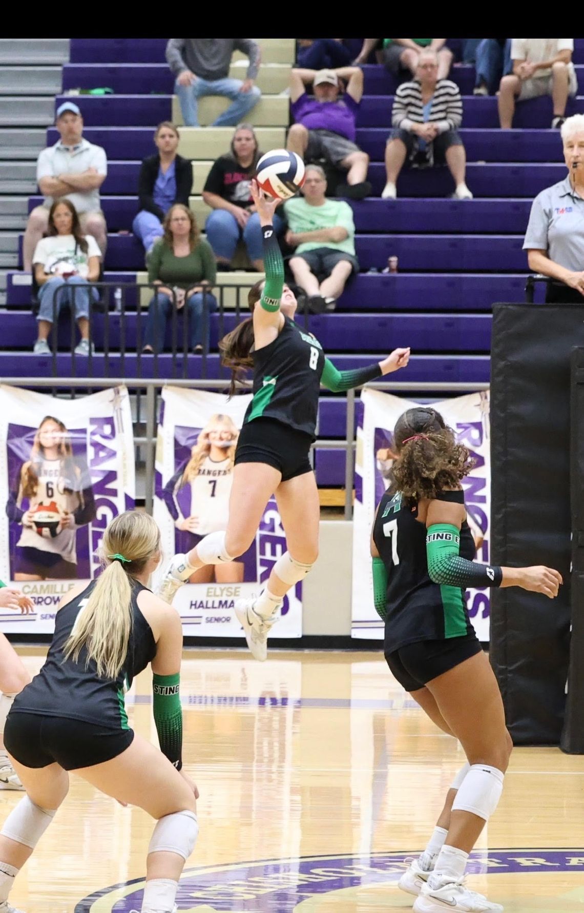 Lady Hornets remain in playoff hunt Lady Hornets remain in playoff hunt