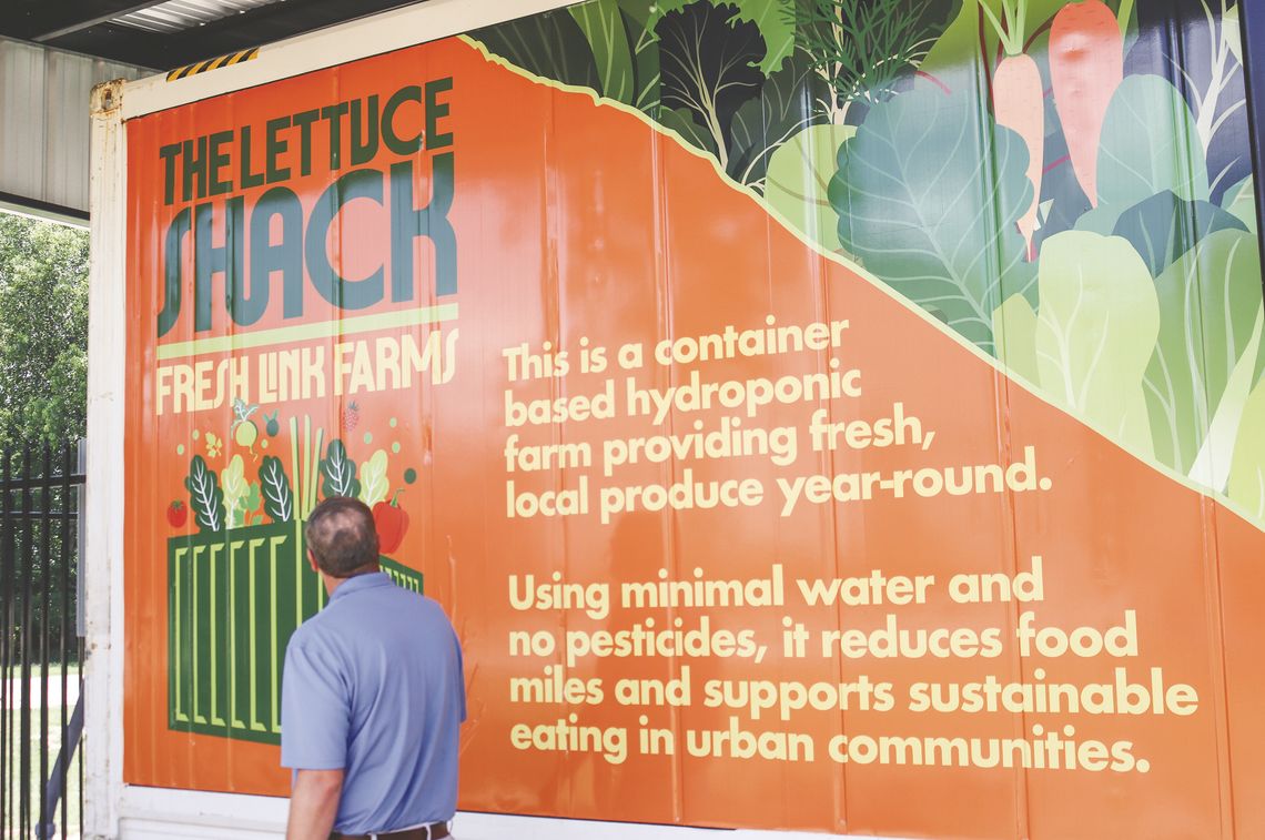 Lettuce wait: