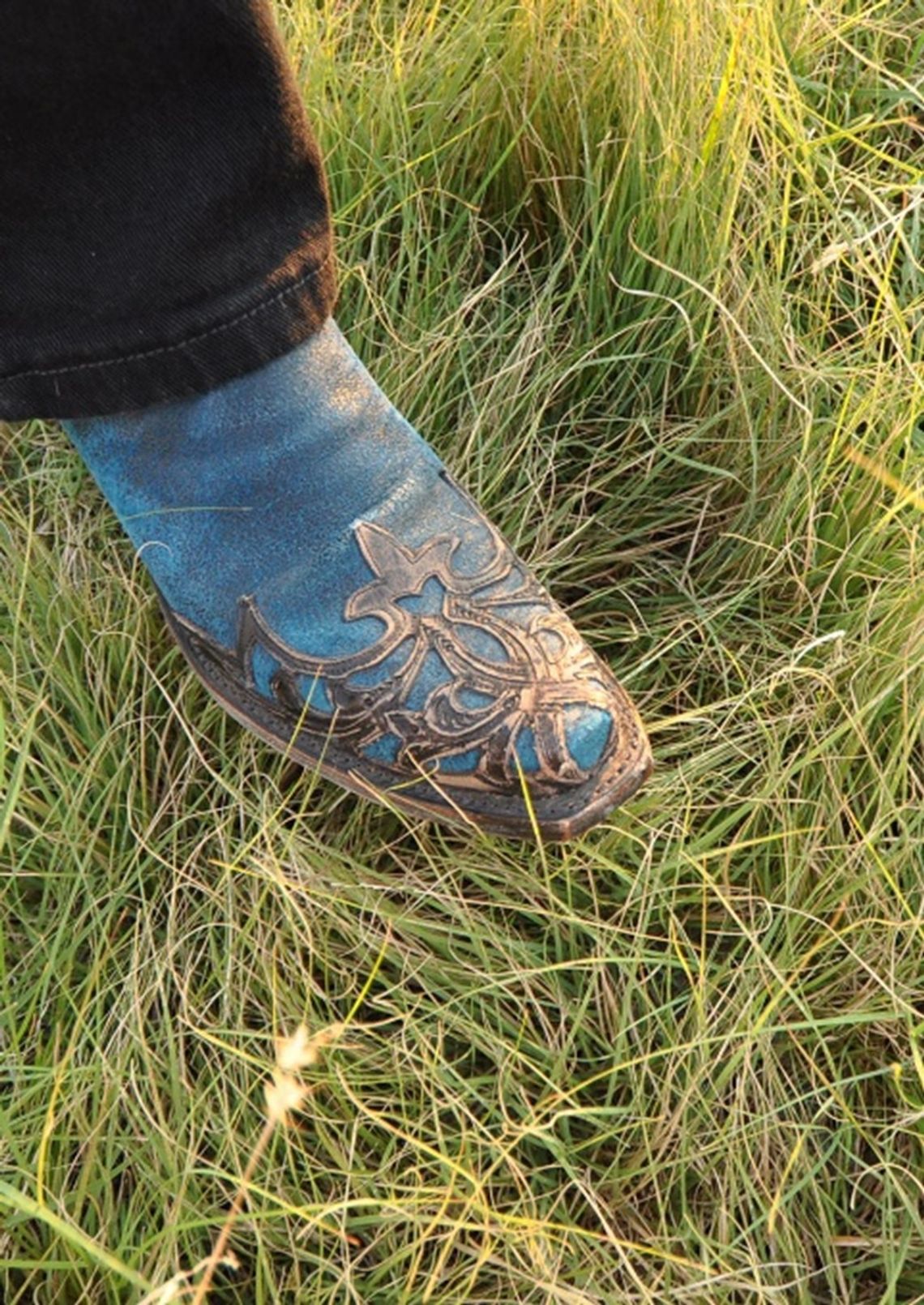 North Texas native plant spotlight: Buffalograss