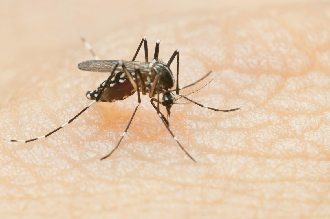 West Nile Virus detected in Ash Creek Park West Nile Virus detected in Ash Creek Park